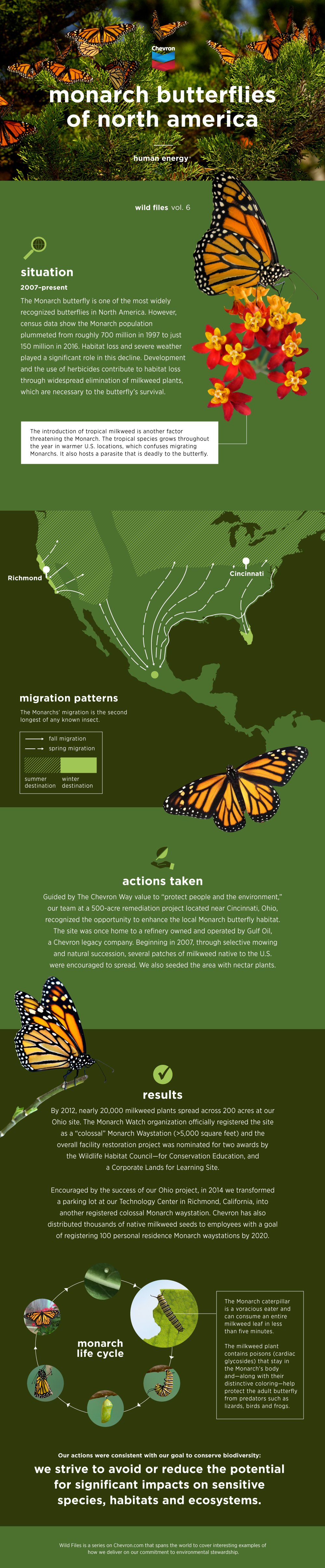 Wild Files: Monarch Butterflies of North America