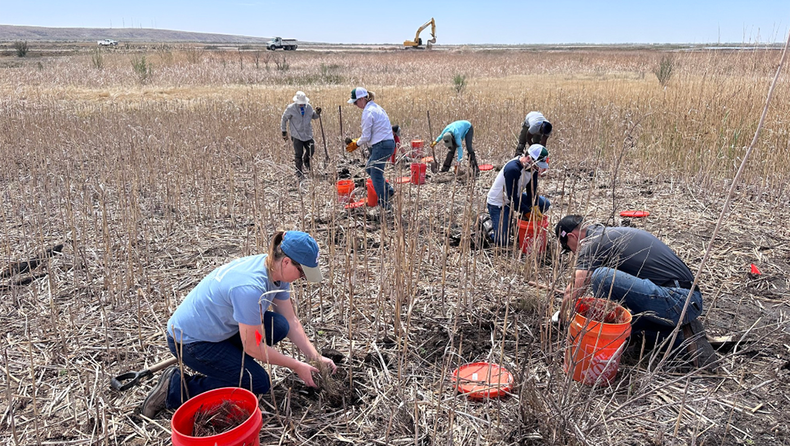 Volunteers at  the Bitter Lake National Wildlife Refuge near Roswell, New Mexico