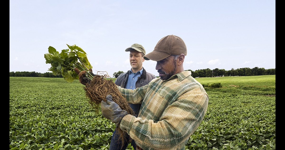 Diversifying Feedstocks for Renewable Fuels: Exploring New Paths to Lower Carbon Future