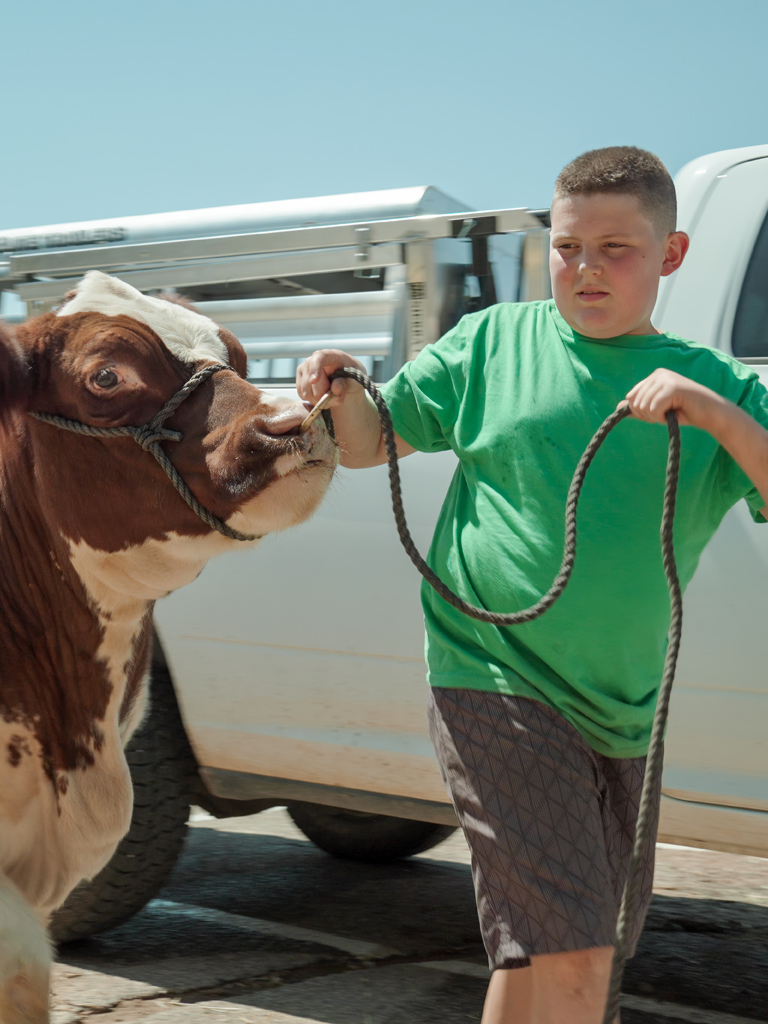 Junior Livestock Steer entry in the New Mexico State Fair