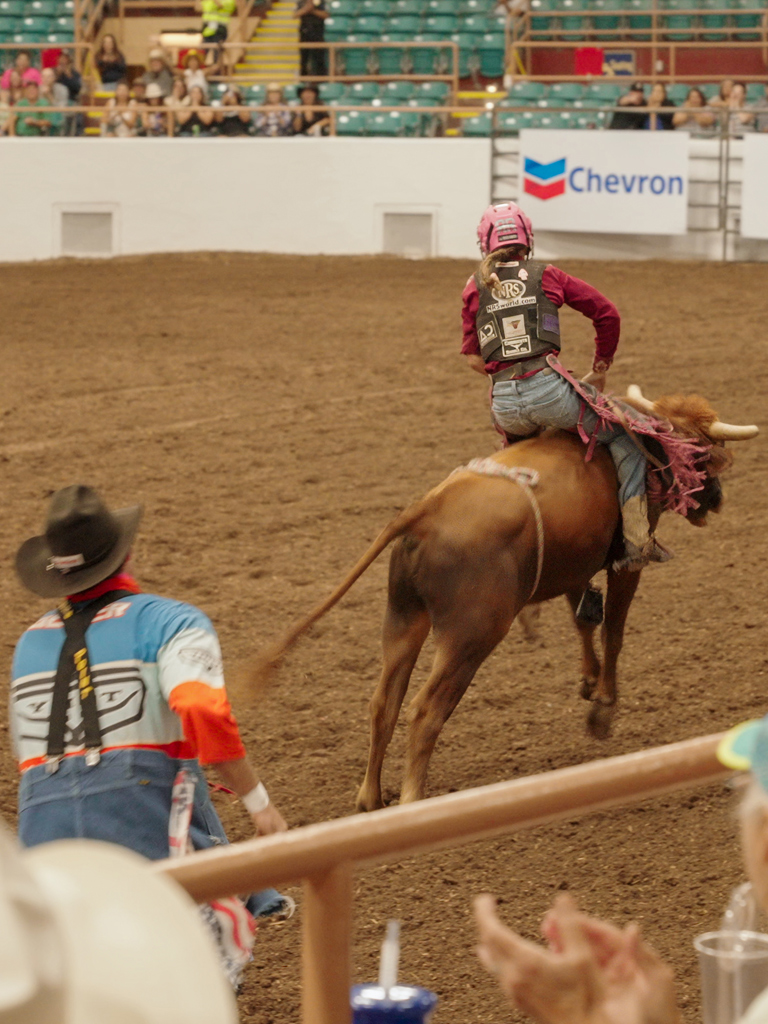 New Mexico State Fair Rodeo